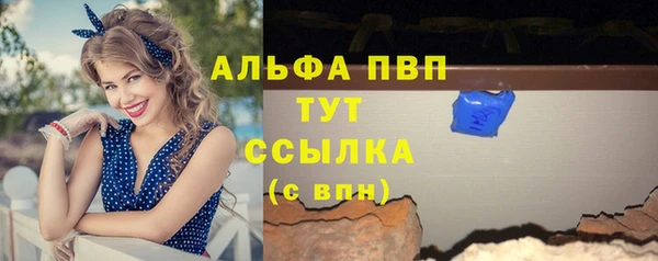 прущие крисы Новозыбков