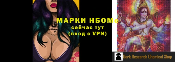 прущие крисы Новозыбков