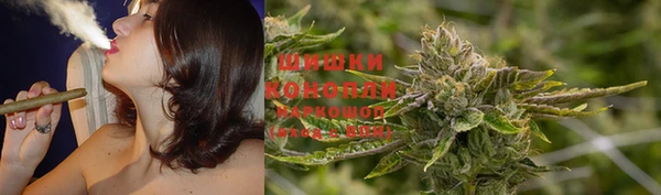 прущие крисы Новозыбков
