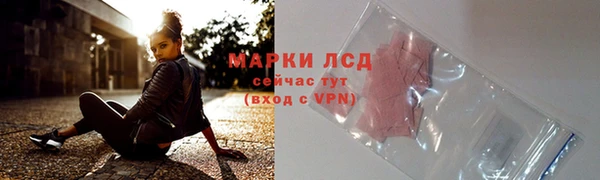 трава Новодвинск