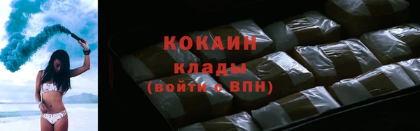 трава Новодвинск