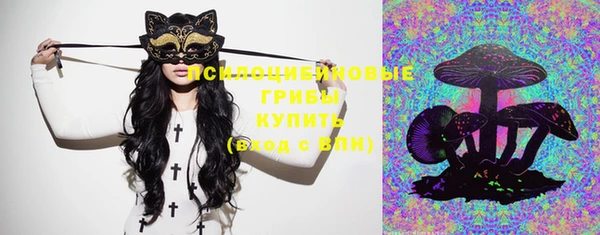 трава Новодвинск
