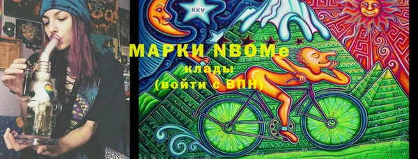 прущие крисы Новозыбков