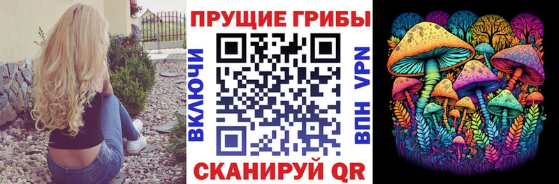 Галлюциногенные грибы GOLDEN TEACHER  сколько стоит  Западная Двина 