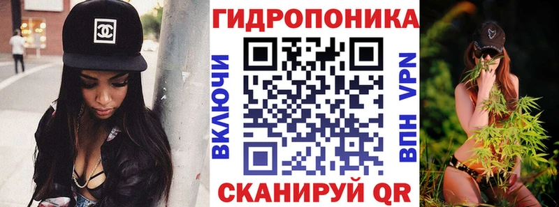 Шишки марихуана MAZAR ОМГ ОМГ tor Западная Двина